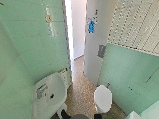 CIRCUNVALACION ENCINA 24