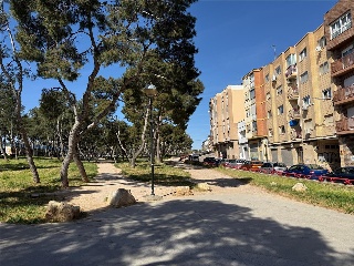 Oviedo 14