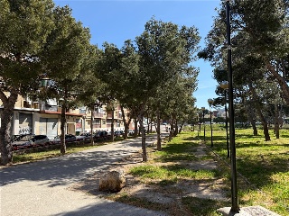 Oviedo 15