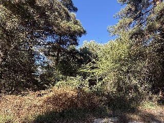 NUEVA BC-PORMASOL 11