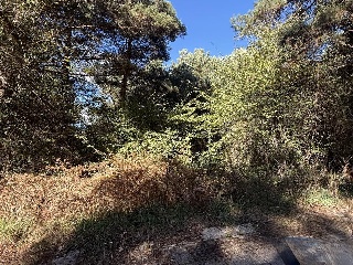 NUEVA BC-PORMASOL 12