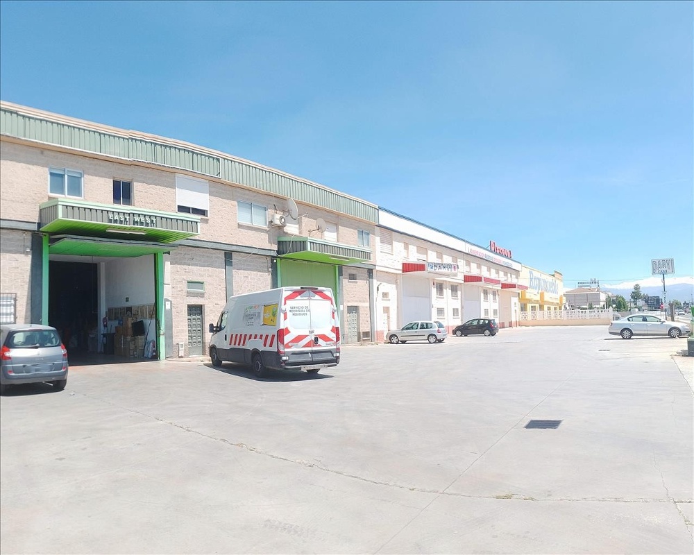 Pinos Puente