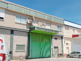 Pinos Puente 2