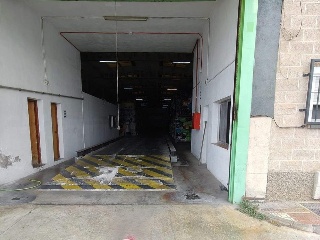 Pinos Puente 6
