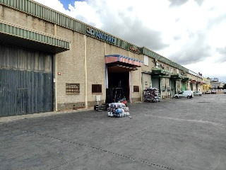 Pinos Puente 7