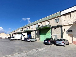 Pinos Puente 9