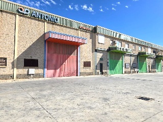 Pinos Puente 18