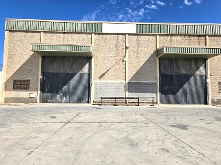 Pinos Puente 22