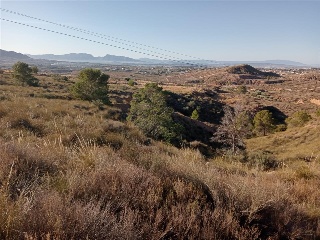 PARCELAS 136,138,Y142 SECTOR ZR 21 3