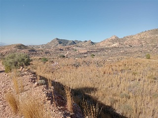 PARCELAS 136,138,Y142 SECTOR ZR 21 13