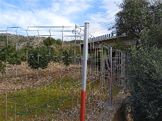 Pisos banco Benicasim/Benicàssim