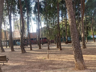 ELISA PIQUERAS LOZANO 5