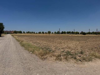PARAJE EL SOTILLO,CAMINO ARROYOMOLINOS 2