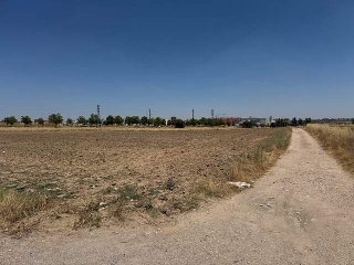 PARAJE EL SOTILLO,CAMINO ARROYOMOLINOS 3