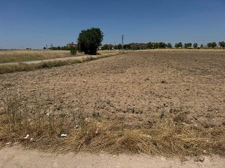 PARAJE EL SOTILLO,CAMINO ARROYOMOLINOS 4