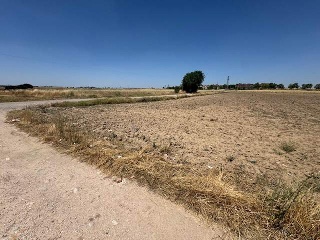 PARAJE EL SOTILLO,CAMINO ARROYOMOLINOS 6