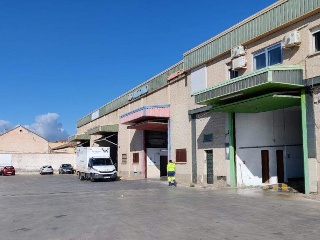 PINOS PUENTE 3