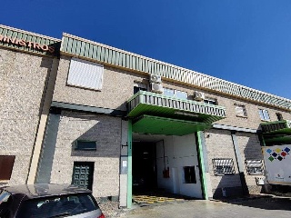 PINOS PUENTE 4