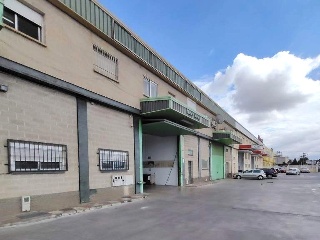 PINOS PUENTE 8