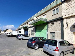 PINOS PUENTE 10