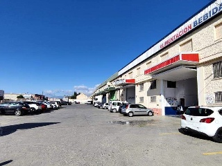 PINOS PUENTE 11