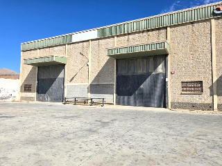 PINOS PUENTE 21