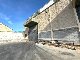 PINOS PUENTE 24