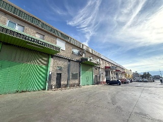 PINOS PUENTE 25