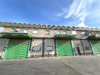 PINOS PUENTE 26