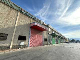 PINOS PUENTE 4