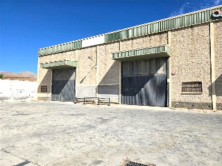PINOS PUENTE 5