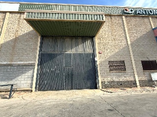 PINOS PUENTE 8