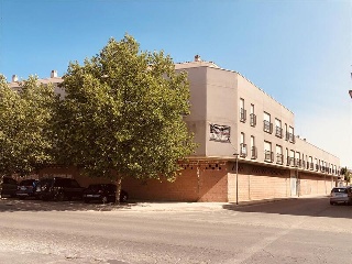 Carretera de Daimiel 2