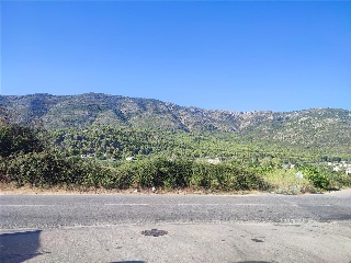 CONSTITUCIO DE LA 15