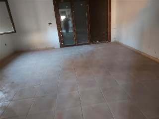 MADROÑO 5