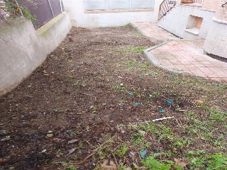 MADROÑO 9
