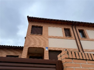 MADROÑO 10