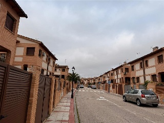 MADROÑO 11