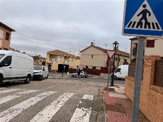 MADROÑO 12