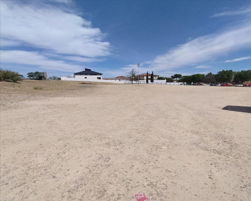 EL OLIVAR Y TIERRA CALVA, LA TORRECILLA