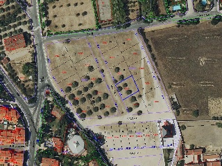 EL OLIVAR Y TIERRA CALVA, LA TORRECILLA 2