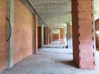 ASUNCIÓN 11