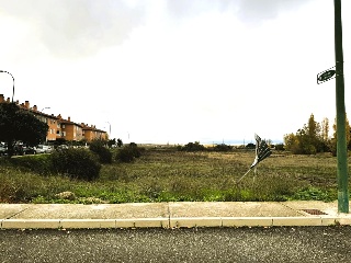 Arlazon 6