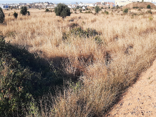 Carretera de Circunvalación Oeste 2