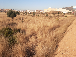 Carretera de Circunvalación Oeste 3