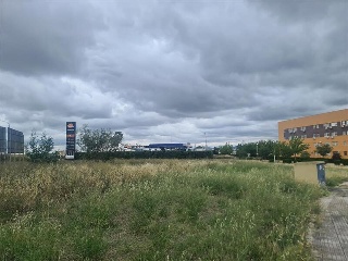 MADRE TERESA DE CALCUTA 4