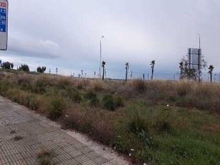 MADRE TERESA DE CALCUTA 11