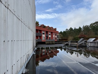 PAZ VARELA y FERNANDEZ AREAL 8