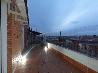 Campo 6