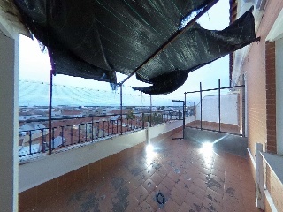 Campo 7